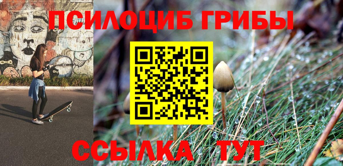Псилоцибиновые грибы мухоморы Вязники