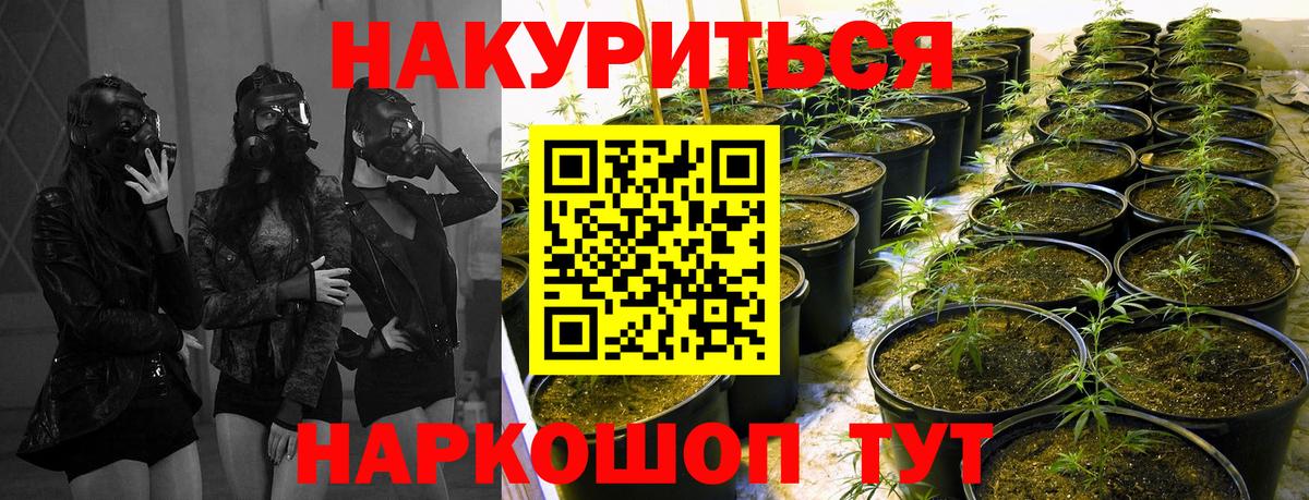 Канабис MAZAR Вязники